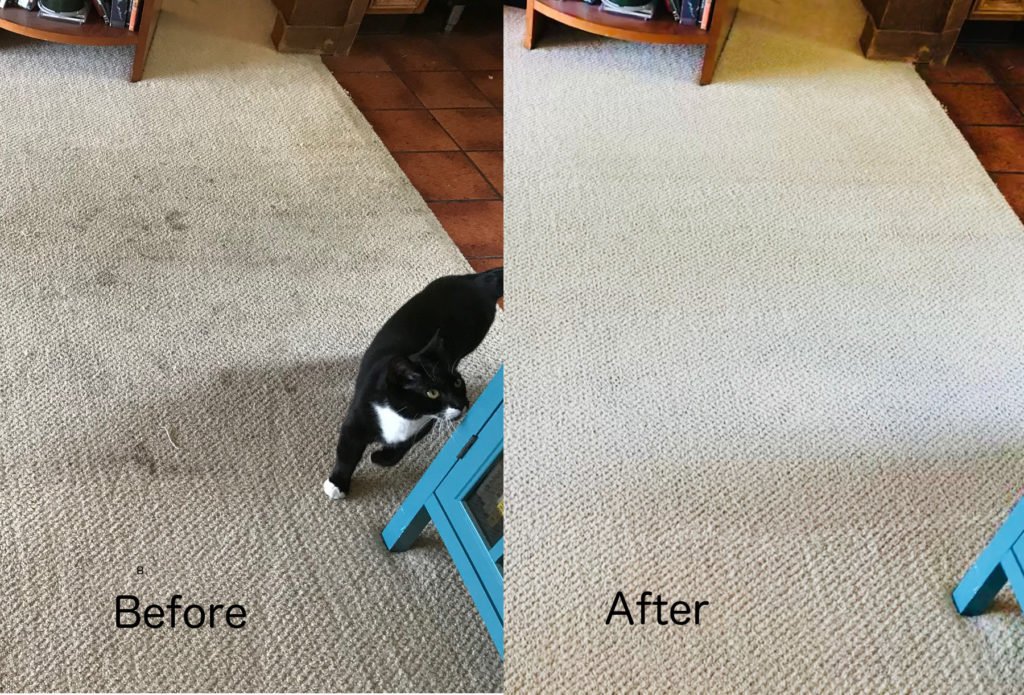 Before-After-2018-0820-1024x695