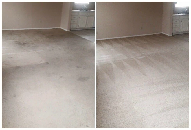 carpet-cleaning-before-and-after